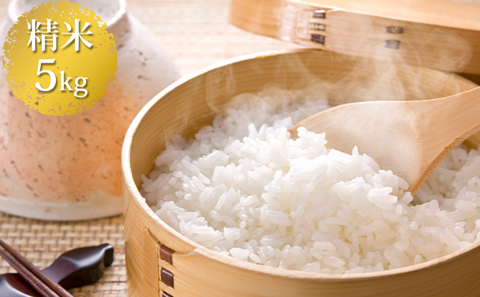 いくさかのお米 5kg 白米 こしひかり コシヒカリ 米 長野県生坂村 セゾンのふるさと納税