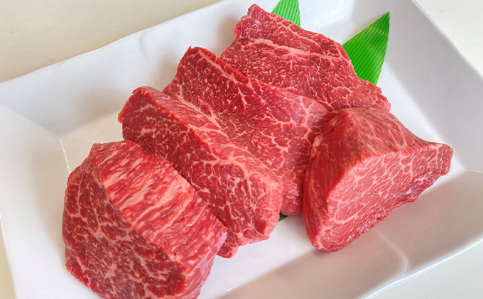 【岐阜県瑞穂市】飛騨牛赤身ステーキ(5人前)|モモ お肉 牛肉 ※離島への配送不可