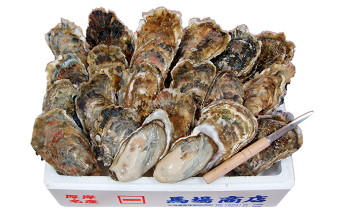 北海道厚岸町のふるさと納税 厚岸産　殻かき L20個セット 北海道 牡蠣 カキ かき 生食 生食用 生牡蠣