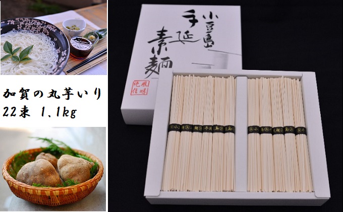 加賀の丸芋いり小豆島手延べ素麺 1.1kg 約15人前|木場製麺所