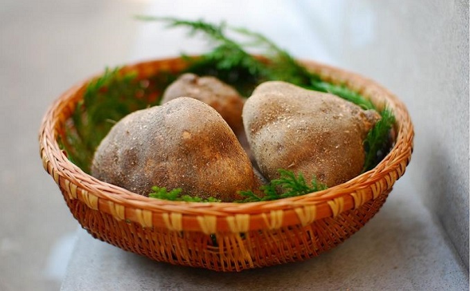 加賀の丸芋いり小豆島手延べ素麺 1.1kg 約15人前|木場製麺所