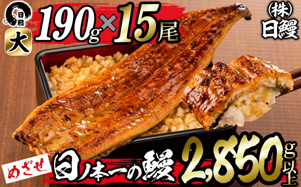 日ノ本一の鰻の蒲焼き＜大＞計15尾セット(計2,850g以上) wa24-006