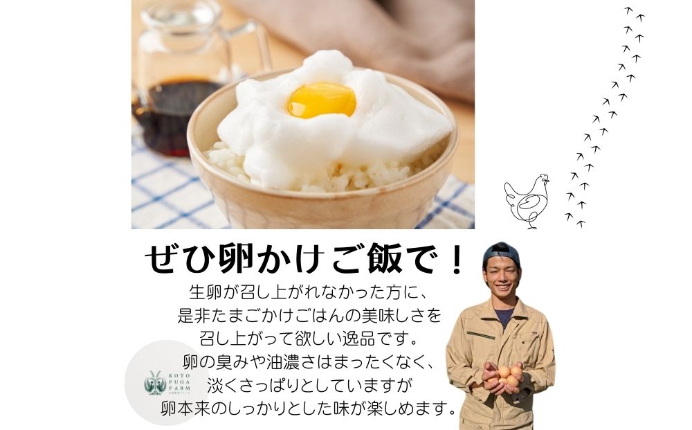 奈良県宇陀市のふるさと納税 （冷蔵）美味しい　平飼い　飛鳥の卵　４０個／古都 風雅 ファーム たまご 玉子 鶏 卵 取り寄せ 新鮮 生食 安心 安全 健康卵 飛鳥 オーガニック 非遺伝子組み換え 奈良県 宇陀市