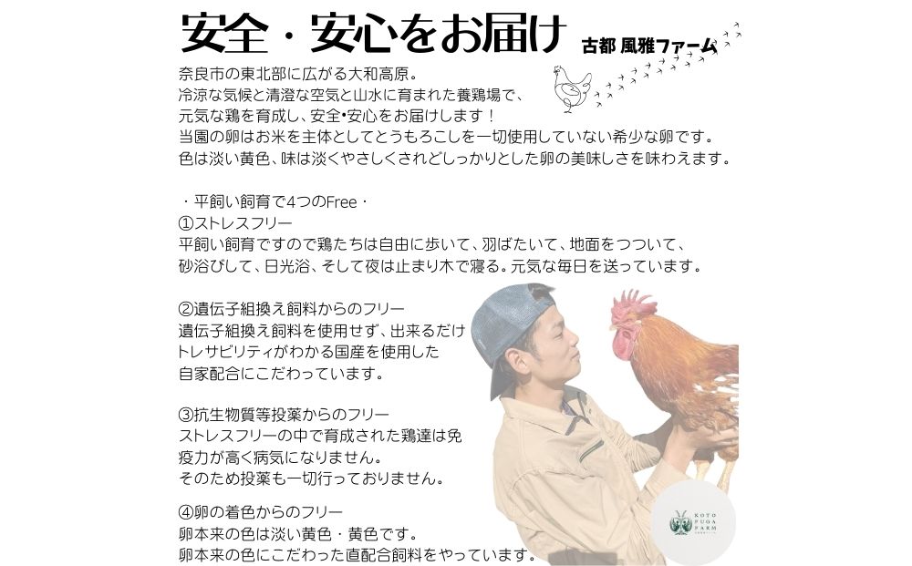 奈良県宇陀市のふるさと納税 （冷蔵）美味しい　平飼い　飛鳥の卵　４０個／古都 風雅 ファーム たまご 玉子 鶏 卵 取り寄せ 新鮮 生食 安心 安全 健康卵 飛鳥 オーガニック 非遺伝子組み換え 奈良県 宇陀市