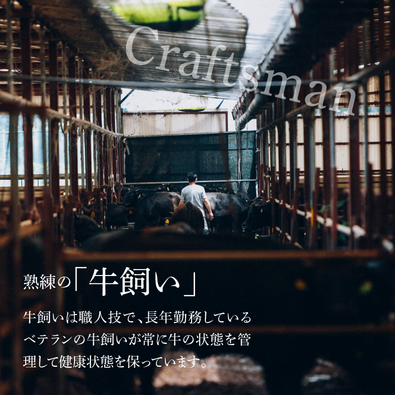 ふるさと納税 ＜木城ブランチ　有田白木八重牧場育ちの黒毛和牛贅沢の極み芯柱サーロインスライス　400ｇ＞ K20_0020_1 宮崎県木城町 - 1