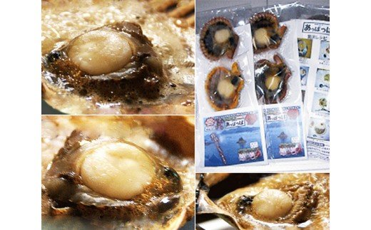 冷凍 アッパッパ貝 3個入り 3袋 貝 ヒオウギ あっぱっぱ 海鮮 海の幸 南伊勢町 伊勢志摩 三重県南伊勢町 セゾンのふるさと納税