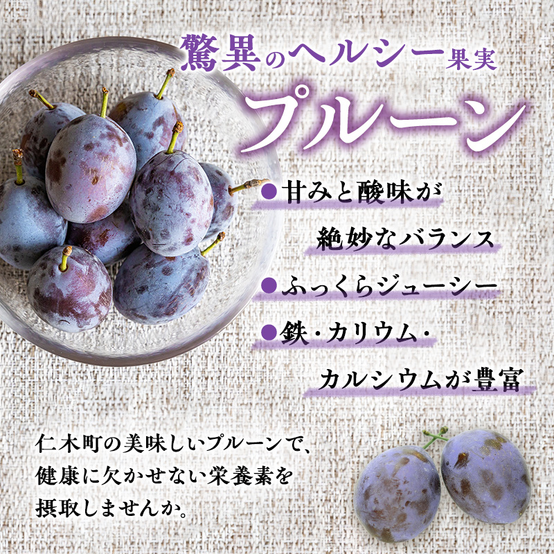 北海道仁木町のふるさと納税 [先行受付] 北海道 仁木町産 季節のプルーン 1.6kg（400g×4パック）プルーン 果物 果物類 くだもの フルーツ [JA新おたる]