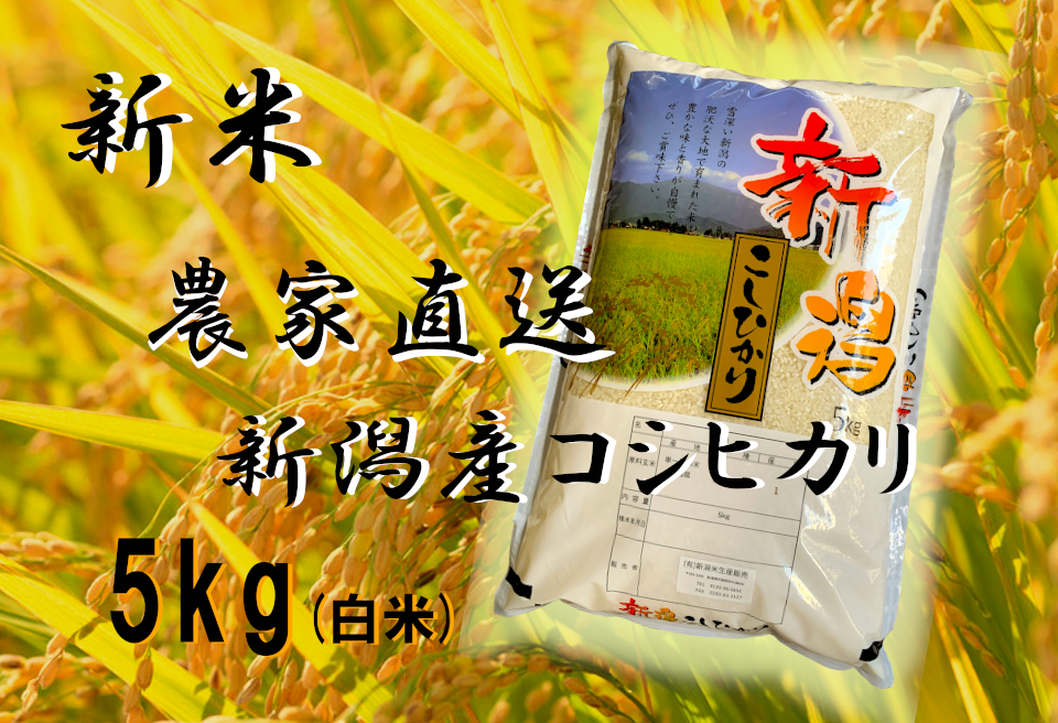 新潟県阿賀野市のふるさと納税 A-47. 農家直送 新潟産コシヒカリ 5kg（白米）