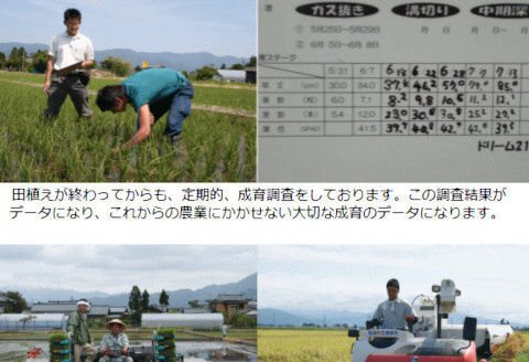 新潟県阿賀野市のふるさと納税 A-47. 農家直送 新潟産コシヒカリ 5kg（白米）