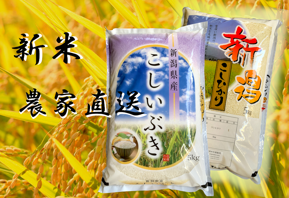 楽天スーパーセール】 玄米 5キロ 新潟県産こしいぶき 特別栽培米 4年産 低温冷蔵
