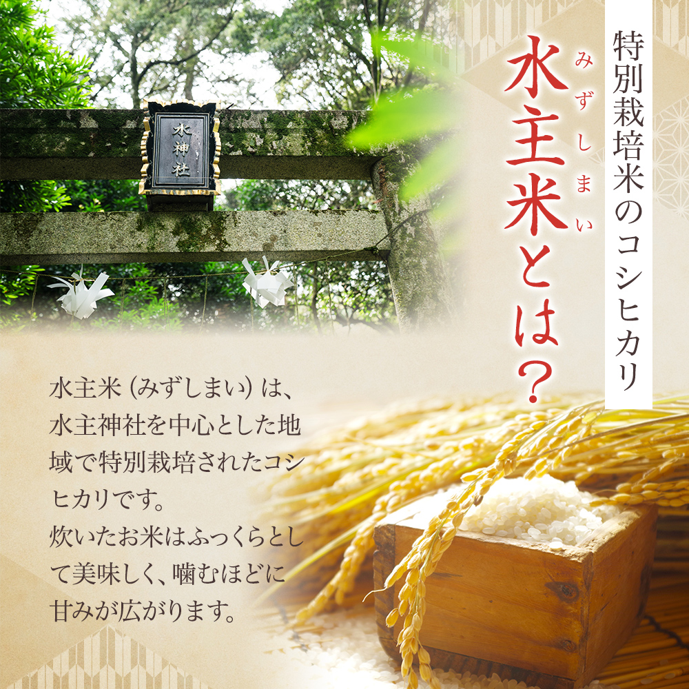 香川県東かがわ市のふるさと納税 令和4年新米（玄米10kg）エコファーマーの特別栽培米 水主米（みずしまい）【ご祈祷米付き】