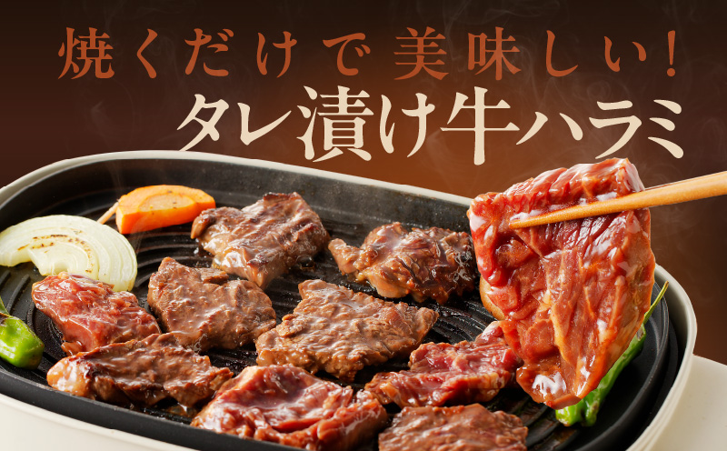 大阪府泉佐野市のふるさと納税 秘伝の赤タレ漬け牛ハラミ肉 大容量1.5kg（500g×3）