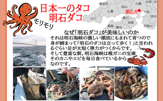 兵庫県明石市のふるさと納税 明石ダコのやわらか煮6個と明石蛸のたこ飯の素 タコ 魚貝類 加工食品 惣菜