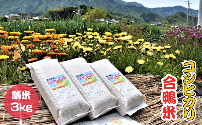 香川県産コシヒカリ（自然農法 合鴨米 3kg）精米 白米