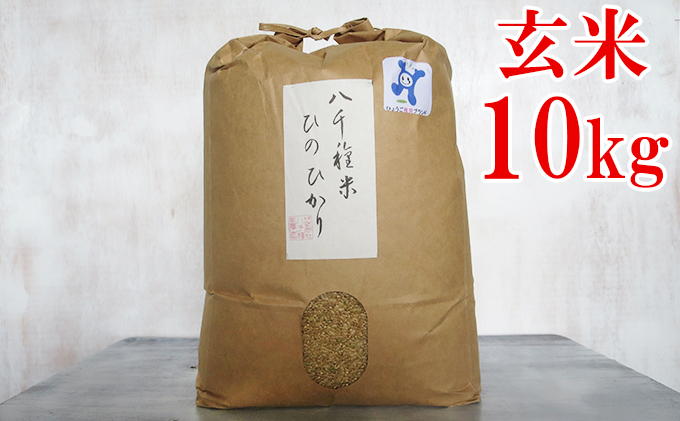 兵庫県福崎町のふるさと納税 八千種米10kg 玄米