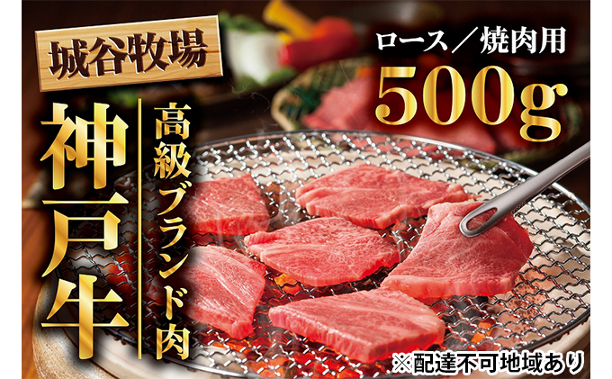 兵庫県福崎町のふるさと納税 城谷牧場の神戸牛　ロース焼肉用500g