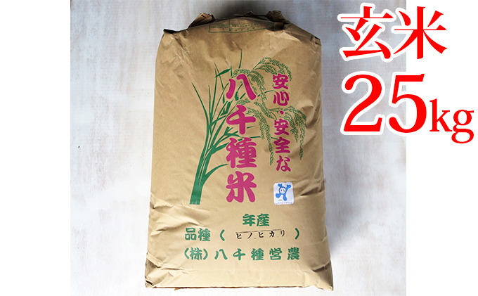 兵庫県福崎町のふるさと納税 八千種米25kg 玄米