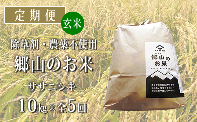 秋田県産ササニシキ（玄米）郷山のお米10kg（5kg×2袋）×5ヶ月定期便（5回 5ヵ月）