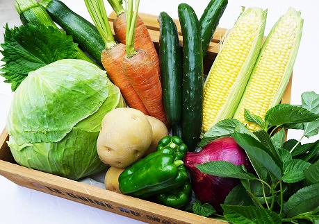 福岡県福津市のふるさと納税 穫れたて！野菜・果物詰め合わせ10品★あんずの里[G0042]