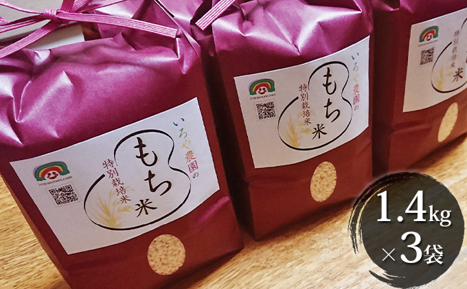 愛知県日進市のふるさと納税 特別栽培米　日進市産もち米　1.4kg×3袋