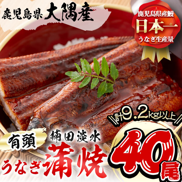 h7-009 楠田の極うなぎ 蒲焼き 230g以上×40尾(計9.2kg以上) / 鹿児島県志布志市 | セゾンのふるさと納税