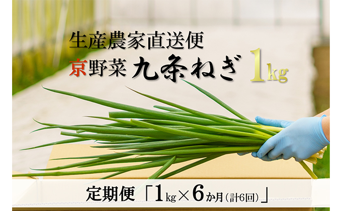 【6か月定期便】生産農家直送　京野菜・九条ねぎ  １kg×6回