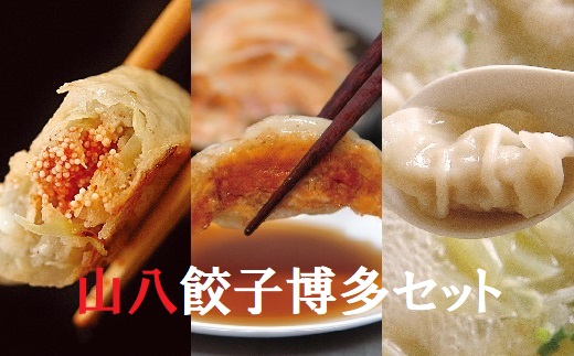 餃子 公式】 【訳ありアウトレットセール】宇都宮餃子加盟店 玉ちゃん