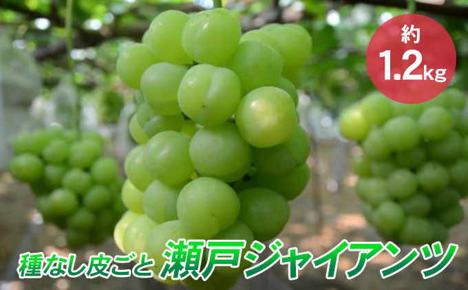 香川県東かがわ市の返礼品一覧 | ふるさと納税サイト「ふるさとプレミアム」 香川県東かがわ市の返礼品一覧 | ふるさと納税サイト「ふるさとプレミアム」