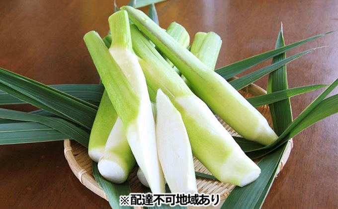 【岡山県里庄町】里庄まこもたけ真空パック【150g×7袋】 野菜 マコモダケ