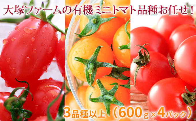 大塚ファームの有機ミニトマト3品種以上(600g×4P)