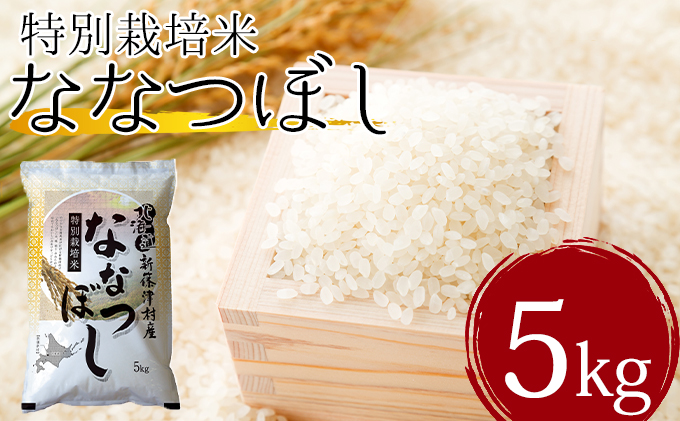 北海道新篠津村のふるさと納税 北海道新篠津村産　特別栽培米ななつぼし5kg