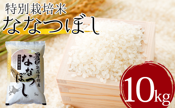 北海道新篠津村　北海道新篠津村産　特別栽培米ななつぼし10kg　セゾンのふるさと納税