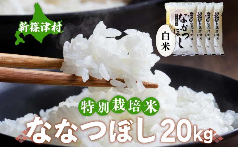 北海道 特別栽培 ななつぼし 20kg 精米 米 白米 お米 新米 ごはん ご飯 ライス 道産米 ブランド米 新しのつ米 ふっくら 食味ランキング  産地直送 お取り寄せ カワサキ森田屋 送料無料|有限会社カワサキ森田屋