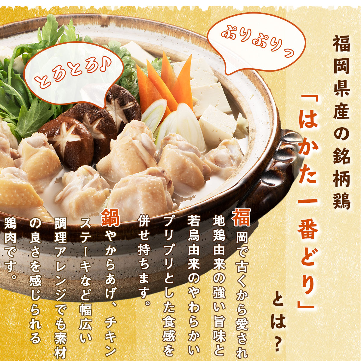 鶏　SZ002はかた一番どり　福岡県産　水炊き彩　福岡県篠栗町　セゾンのふるさと納税　鶏肉　鍋