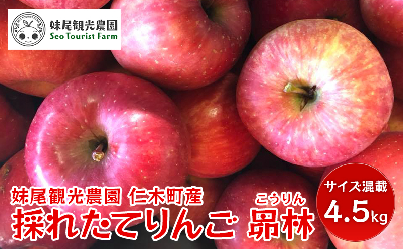 【先行受付/2024年10月出荷開始】仁木町の採れたてりんご「昴林（こうりん）」4.5kg［妹尾観光農園］ 北海道 果物 フルーツ リンゴ