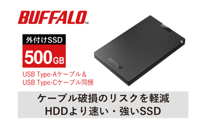 愛知県日進市のふるさと納税 BUFFALO バッファロー ポータブル SSD 500GB TypeA & TypeC USB 電化製品 家電 パソコン PC周辺機器 パソコン周辺機器