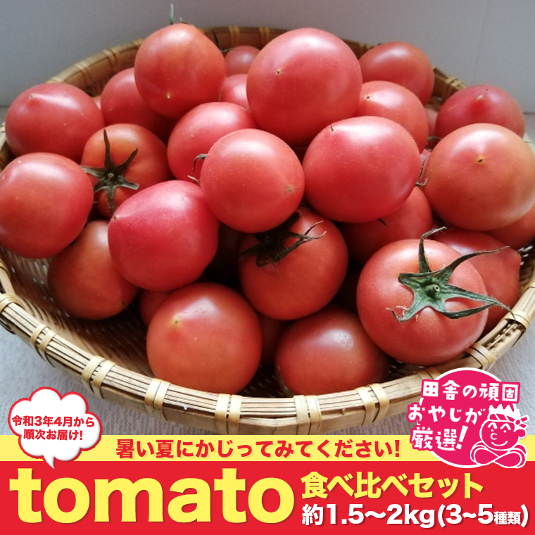 田舎の頑固おやじが厳選! tomato食べ比べセット 3〜5種類・約1.52kg[令和3年4月から順次お届け] [BI52-NT]