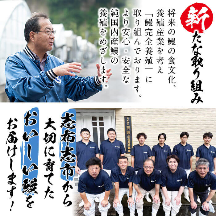 鹿児島県志布志市のふるさと納税 日ノ本一の鰻の蒲焼き＜特大＞3尾セット(計705g以上) c2-009