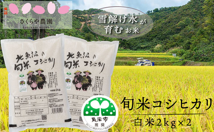 令和3年産 北魚沼の旬米コシヒカリ 精米 ２kg 2 新潟県魚沼市 セゾンのふるさと納税