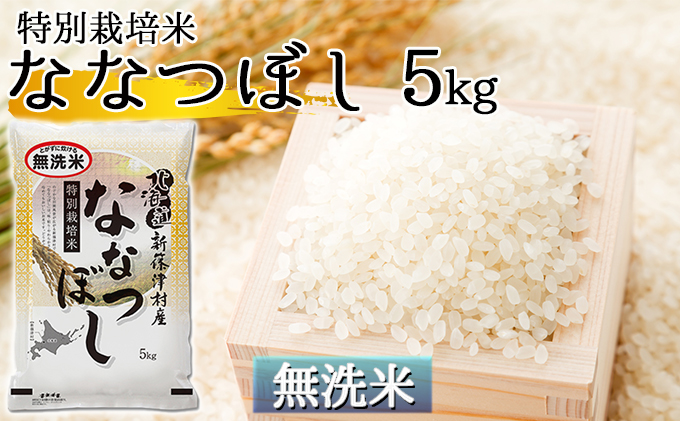 【無洗米】北海道新篠津村産 特別栽培米なな
