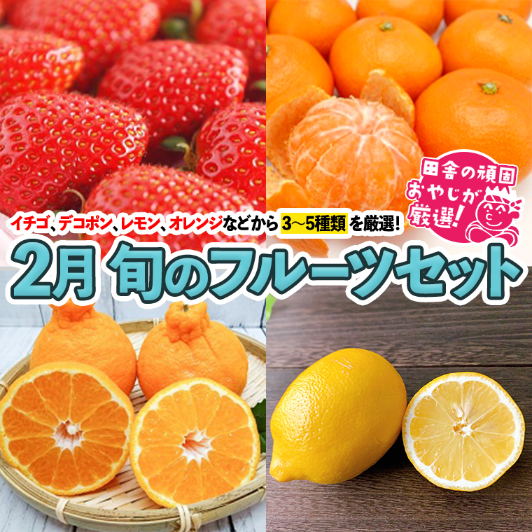 田舎の頑固おやじが厳選！旬のフルーツセット 2月号 / 茨城県つくばみらい市 | セゾンのふるさと納税