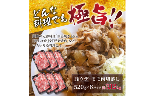 宮崎県日南市のふるさと納税 B68-191 豚肉（ウデ・モモ）切り落としセット(計3.12kg)