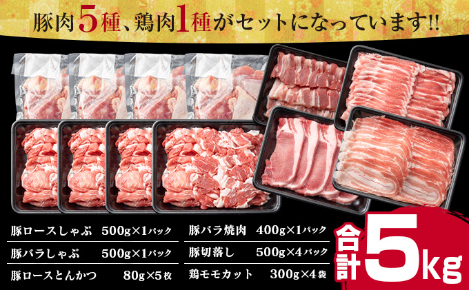 宮崎県日南市のふるさと納税 豚肉5種 鶏肉1種 食べ比べ セット 合計5kg 肉 豚肉 豚 鶏肉 鶏 国産 食品 ギフト 送料無料_CD1-191