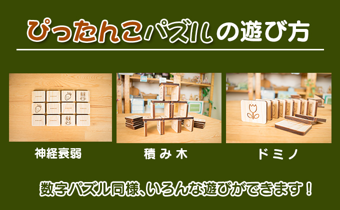 宮崎県日南市のふるさと納税 G30-191 知育玩具3点セット