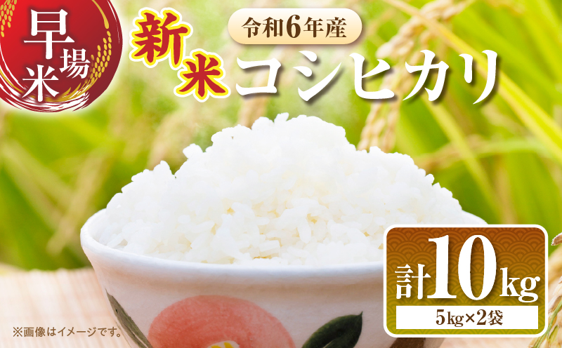 びください 令和4年産 早場米 無洗米こしひかり 10kg 米 国産 九州産 宮崎県産 おにぎり おべんとう おかず 時短 送料無料  F1602：宮崎県川南町 をいっぱい - shineray.com.br