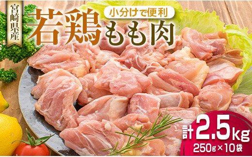 B135-20 肉≪小分けで便利≫若鶏モモ