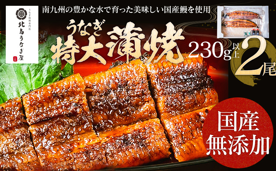 うなぎの特大蒲焼（2尾）230g以上×2尾 AE04 / 福岡県大木町 | セゾンのふるさと納税