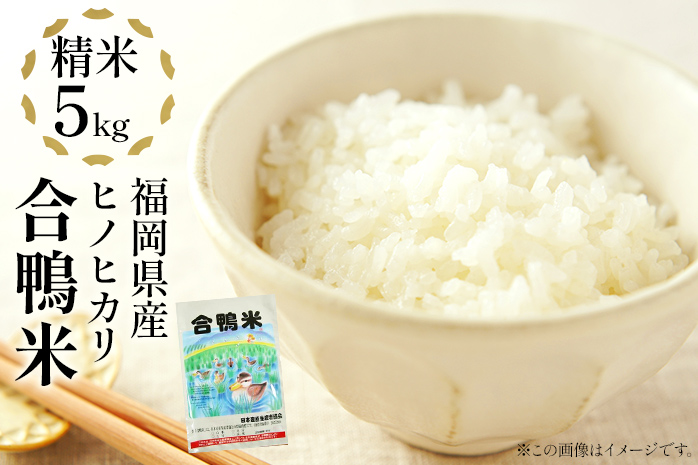 令和7年産 新米予約 合鴨米「ヒノヒカリ」(精米・5kg) ※2025年10月より順次出荷予定
