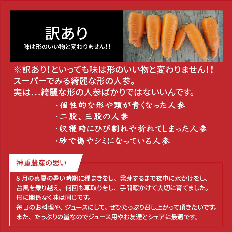 訳あり 増量】 3回定期便 にんじん キャロットジュース 1月～3月お届け H105-018 / 愛知県碧南市 | セゾンのふるさと納税