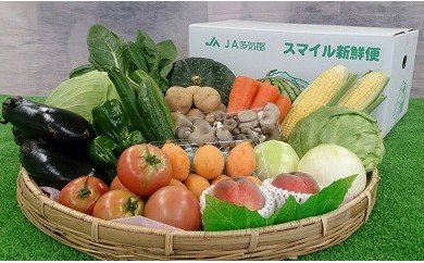 三重県多気町のふるさと納税 JA-04　旬の野菜と果物の詰め合わせ